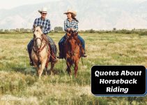 49 Quotes About Horseback Riding: Equestrian Inspiration