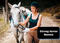 220 Strong Horse Names: Unleash Your Equine’s Power!