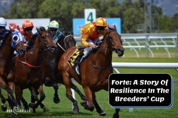 Forte: A Story Of Resilience In The Breeders’ Cup