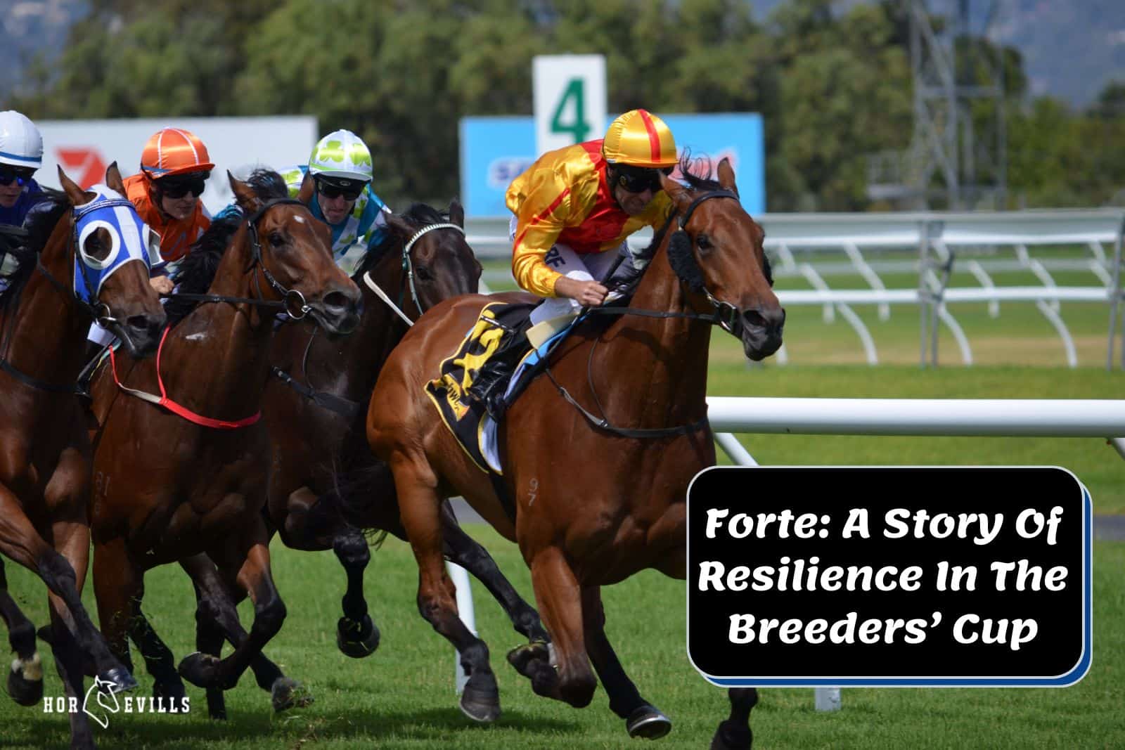 forte the horse racing on the breeder's cup