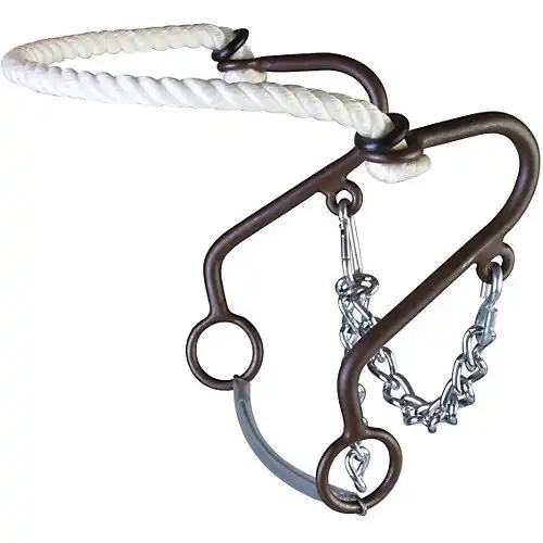 Aime Imports Westen at Rope Nose Little S Hackamore