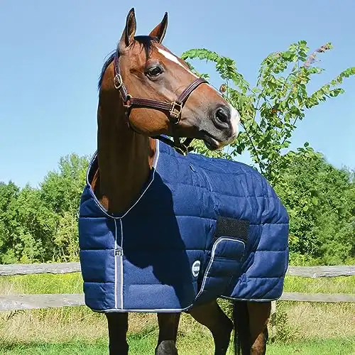Country Pride Squall 1200D Midweight Bellyband Stable Blanke
